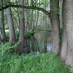 Bobrowa Przystan Holiday home Czechyn