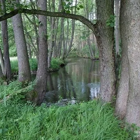Bobrowa Przystan Vakantiehuis Czechyn