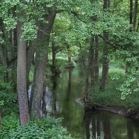 Bobrowa Przystan Czechyn