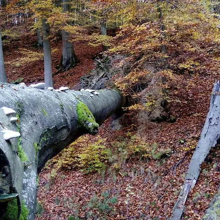 Vakantiehuis Bobrowa Przystan