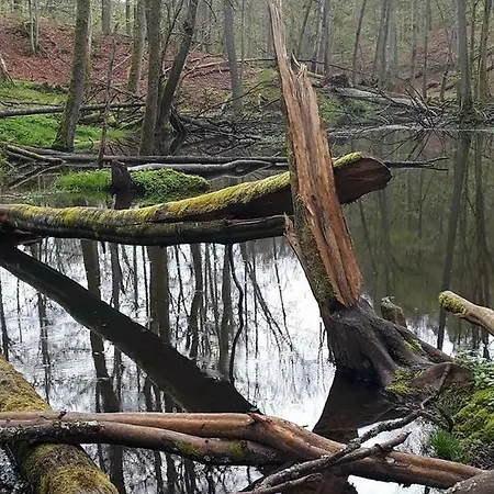 Bobrowa Przystan Vakantiehuis