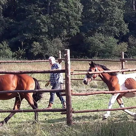 Bobrowa Przystan Vakantiehuis Czechyn