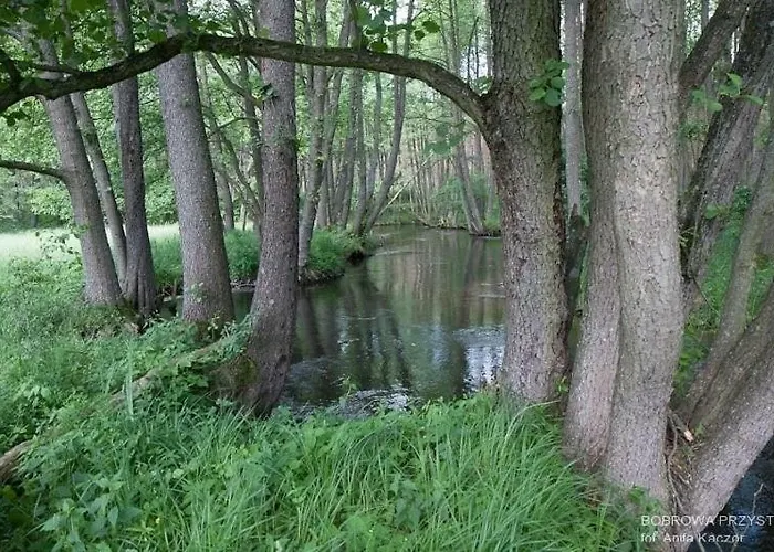 Bobrowa Przystan בית נופש Czechyn