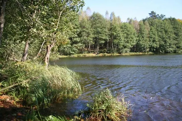 Bobrowa Przystan * Czechyn