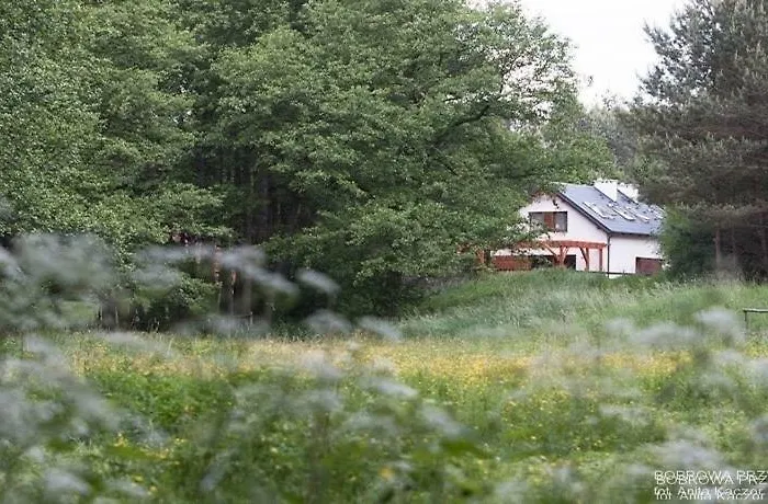 Bobrowa Przystan Czechyn