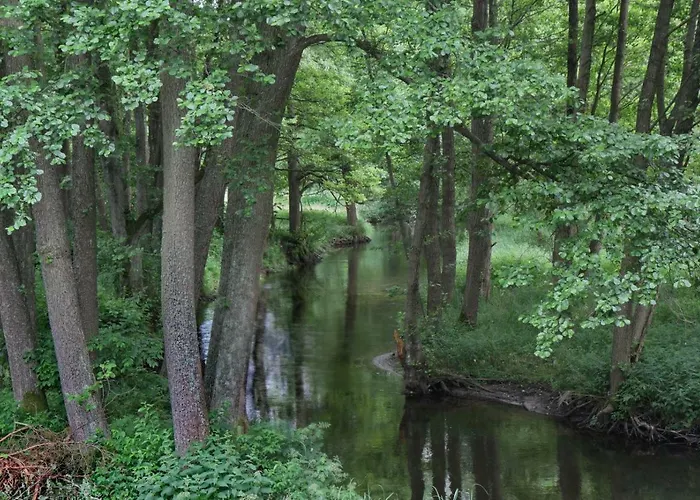 Bobrowa Przystan Czechyn