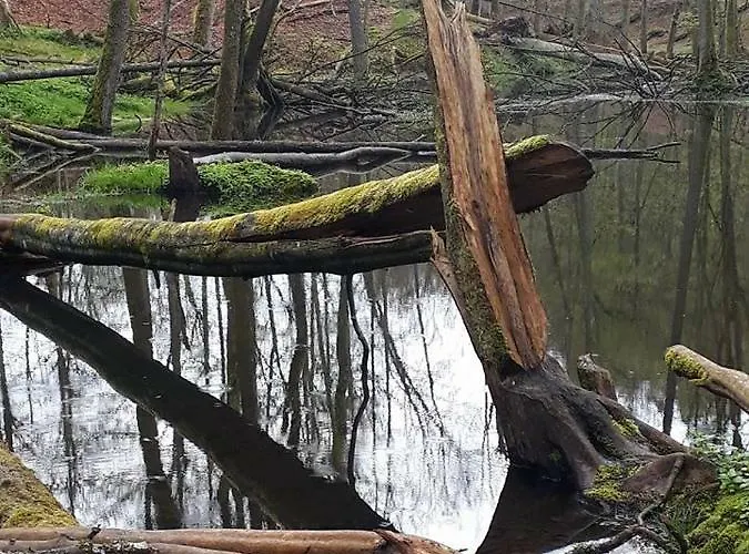 Bobrowa Przystan Vakantiehuis