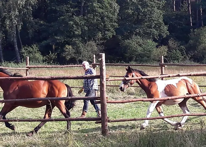 Bobrowa Przystan Vakantiehuis Czechyn